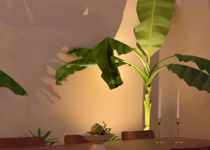 Moshoviti Будинок відпочинку Ретимно (Крит)